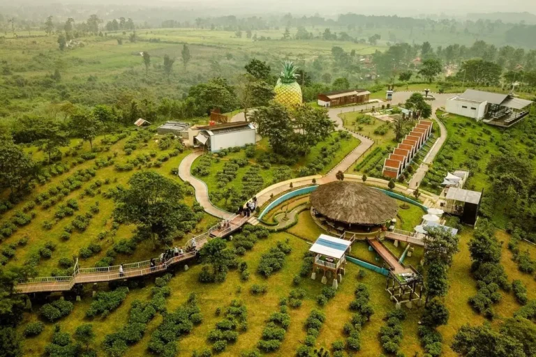 Menteri Pariwisata Widiyanti Putri Tegaskan Pentingnya Kepatuhan Terhadap Aturan dan Perizinan Destinasi Wisata