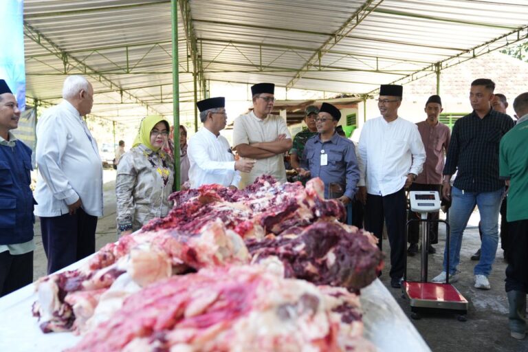 Bupati Sleman Pantau Pemotongan Kurban Bantuan Presiden dan Gubernur DIY